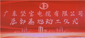 广东丝瓜视频看污电缆有限公司总部基地落成奠基仪式